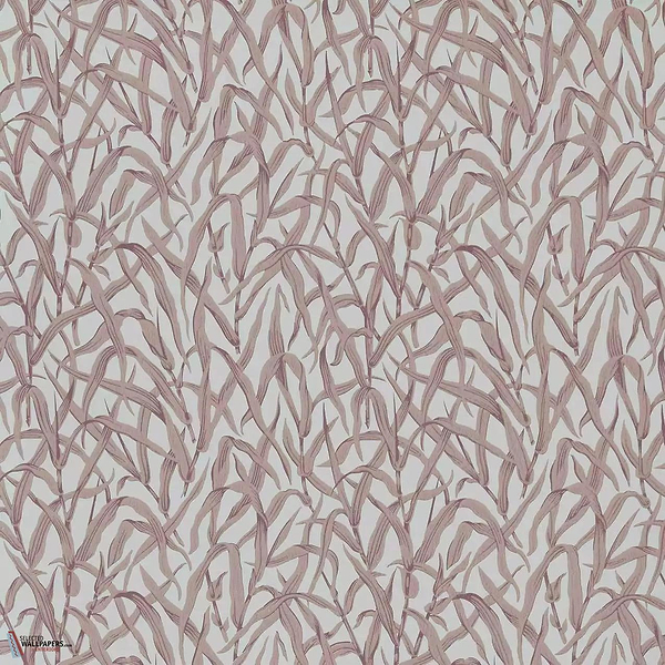 Ornamental Grasses behang-1838 wallcoverings-Selected Wallpapers &amp; Interiors