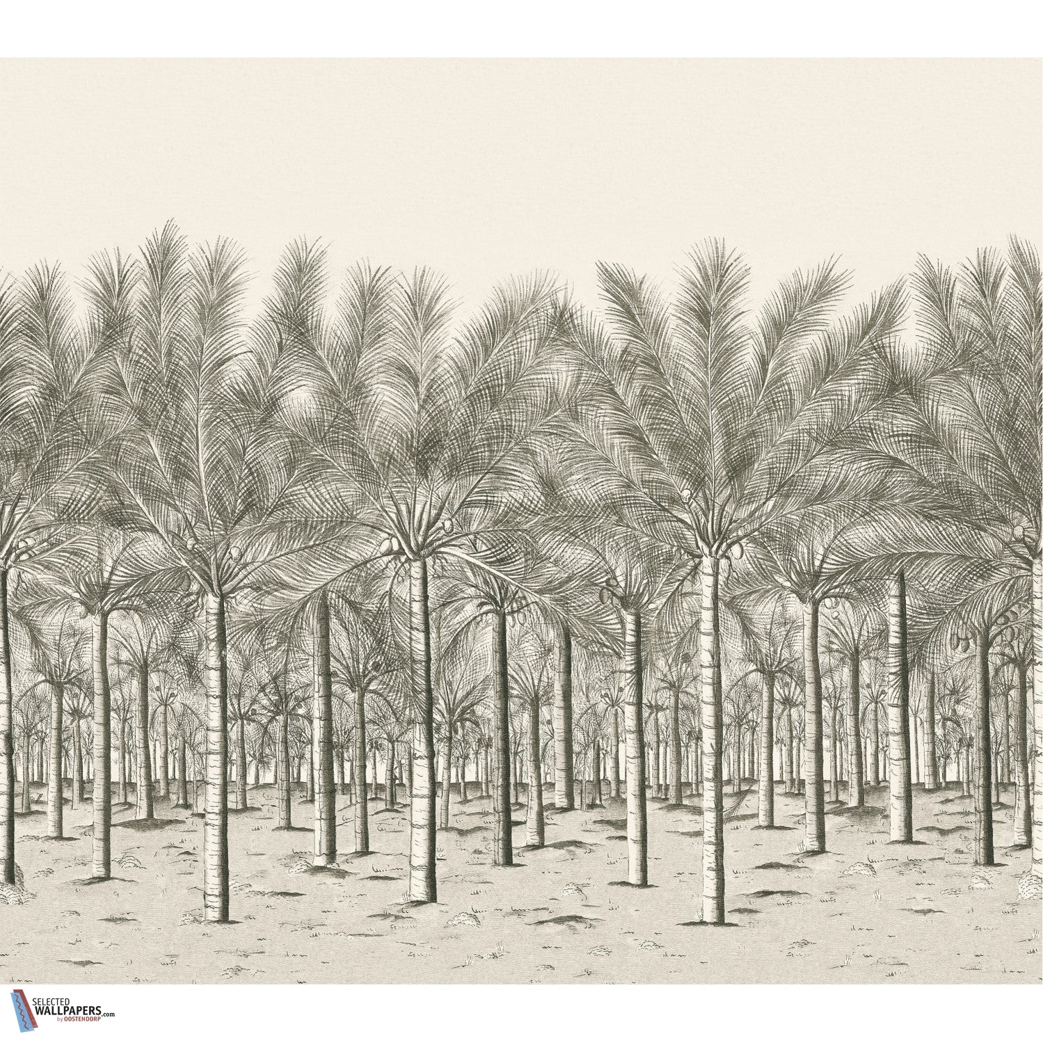 Palm Grove Mural-Behang-Tapete-Thibaut-Black Tea-Set-TM13950-Selected Wallpapers