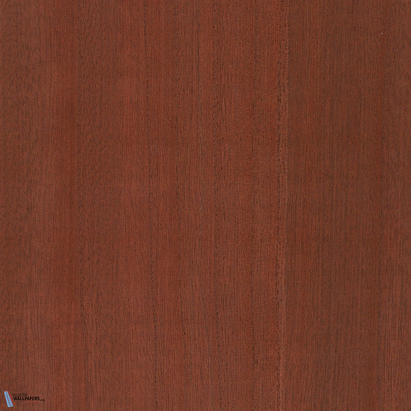 Paulownia-behang-Tapete-Greenland-Bombay Brown-Meter (M1)-G0165NV1039-Selected Wallpapers