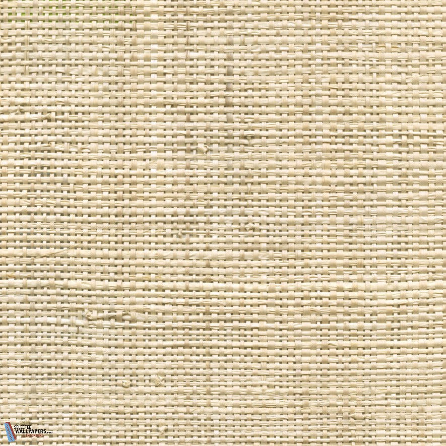 Raphia Bud Bud-CMO Paris-wallpaper-behang-Tapete-wallpaper-Naturel-Meter (M1)-Selected Wallpapers