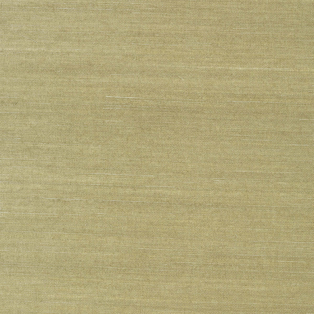 Shang Extra Fine Sisal-Thibaut-Moss-Rol-Selected-Wallpapers-Interiors