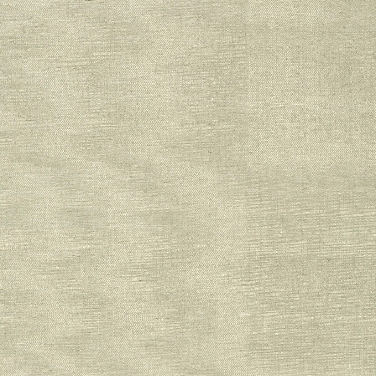 Shang Extra Fine Sisal-Thibaut-Light Sage-Rol-Selected-Wallpapers-Interiors