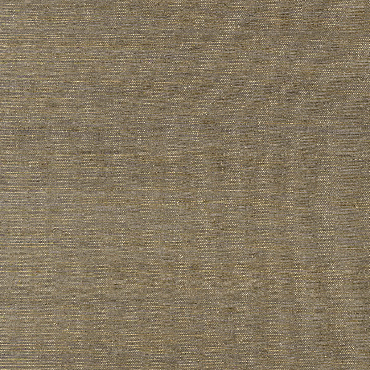 Shang Extra Fine Sisal-Thibaut-Ash-Rol-Selected-Wallpapers-Interiors