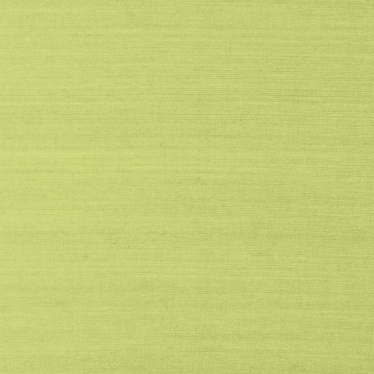 Shang Extra Fine Sisal-Thibaut-Green-Rol-Selected-Wallpapers-Interiors