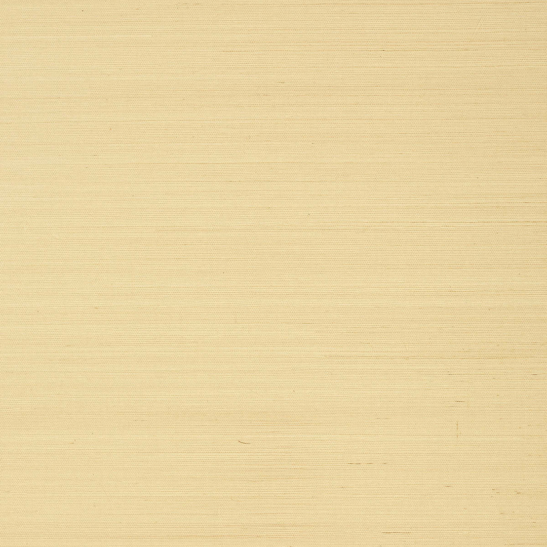 Shang Extra Fine Sisal-Thibaut-Vanilla-Rol-Selected-Wallpapers-Interiors
