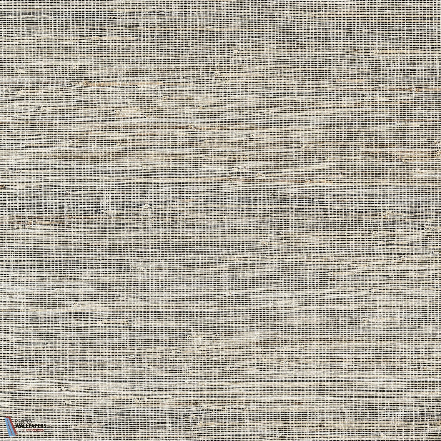 Sydney-Thibaut-Black-Rol-Selected-Wallpapers-Interiors