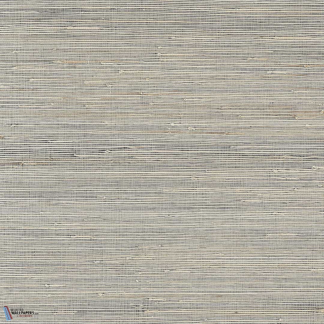Sydney-Thibaut-Black-Rol-Selected-Wallpapers-Interiors