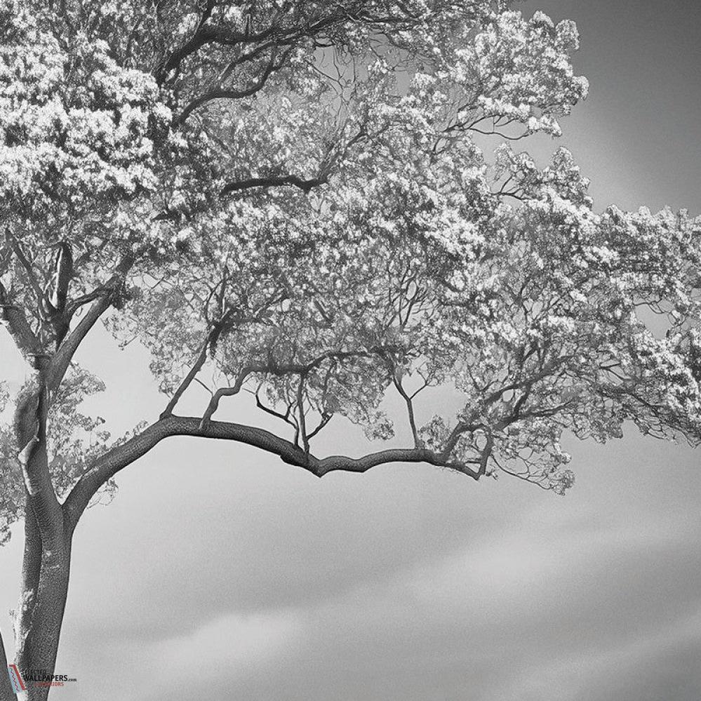 The Silent Witness behang-behang-LondonArt-1-RAW-S120-M2-Selected Wallpapers &amp; Interiors