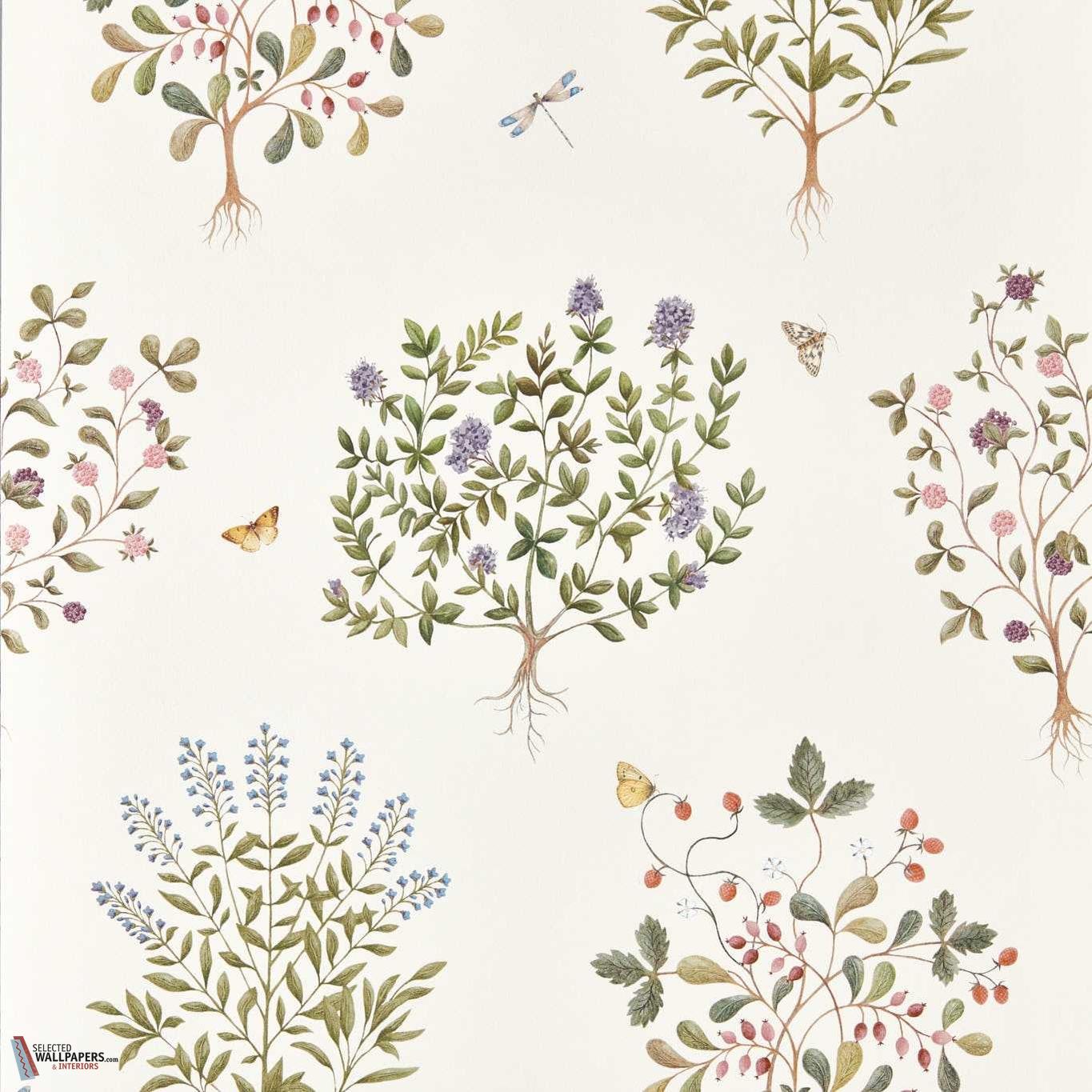 Thyme walk behang-Sanderson-Damson & Quince-Rol-Selected Wallpapers-Interiors