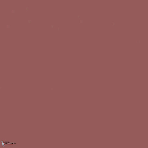 ashes-of-roses-6-little-greene-paint-verf