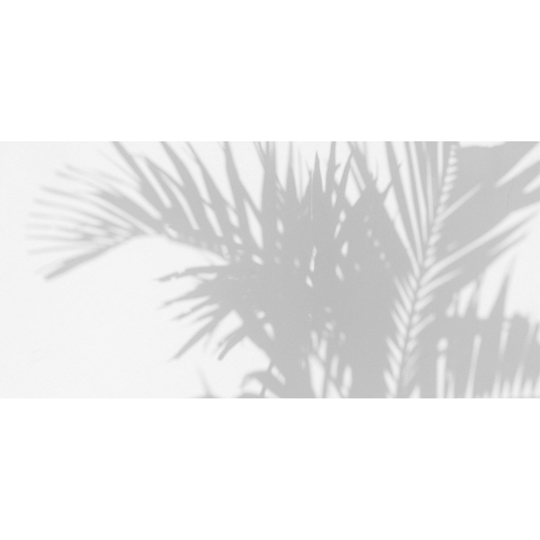 Palm Shadow behang-behang-Les Dominotiers-Selected Wallpapers &amp; Interiors