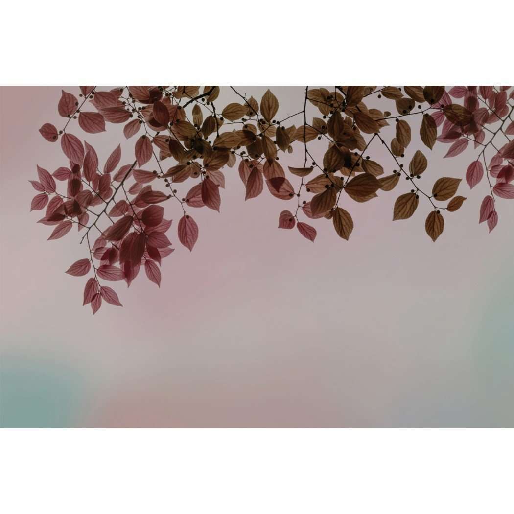Amour-behang-Tapete-Glamora-Selected Wallpapers