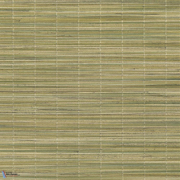 Bambu Strie-behang-Tapete-Dedar-Clorofilla-Meter (M1)-D2200300001-Selected Wallpapers