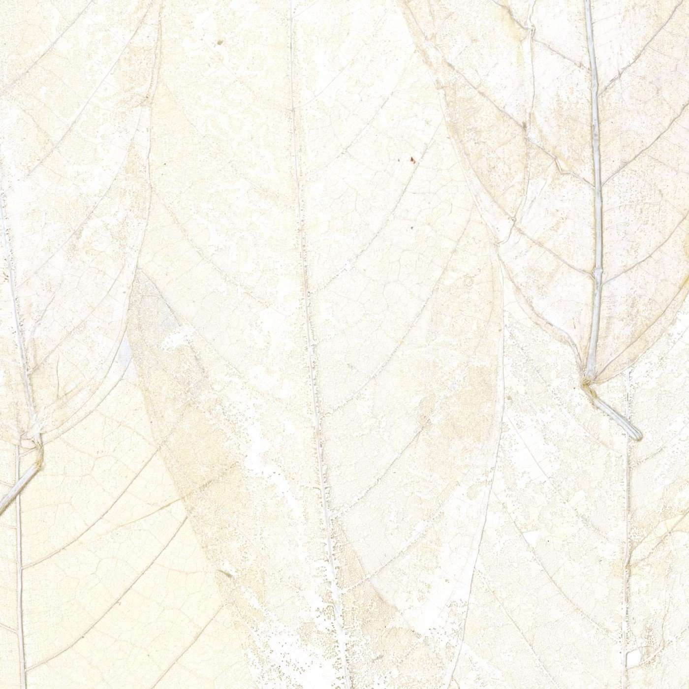 Blanche Neige-behang-Tapete-Elitis-1-Meter (M1)-RM 972 01-Selected Wallpapers