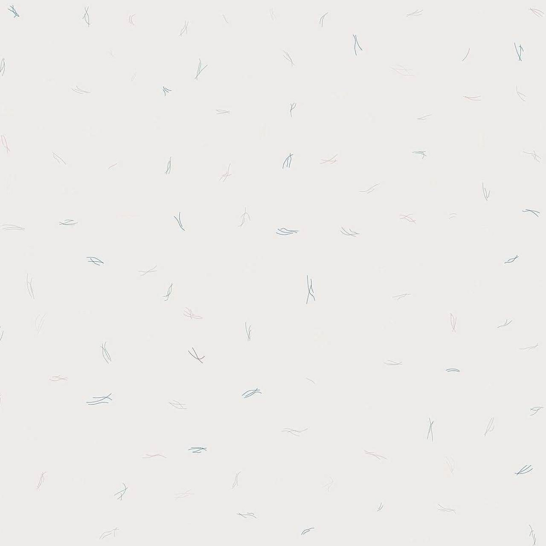 Ciszak Dalmas - Algae behang-Behang-Tapete-Coordonne-Ice-Non Woven-8000018N-Selected Wallpapers
