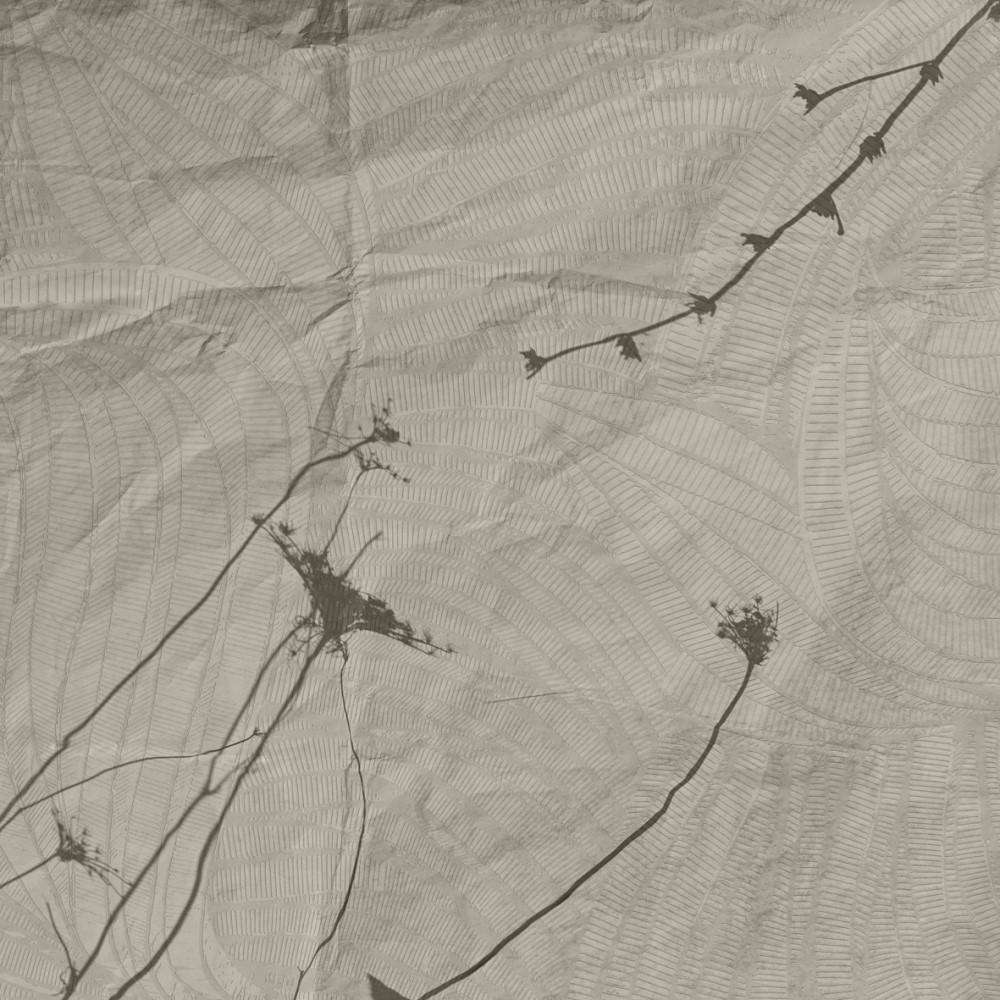 Eupraxia-behang-Tapete-Glamora-1A-GlamFusion-GLHY191A-Selected Wallpapers