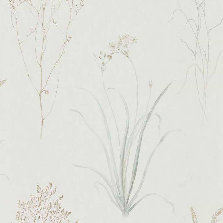 Farne Grasses-behang-Tapete-Sanderson-Silver/Ivory-Rol-216487-Selected Wallpapers