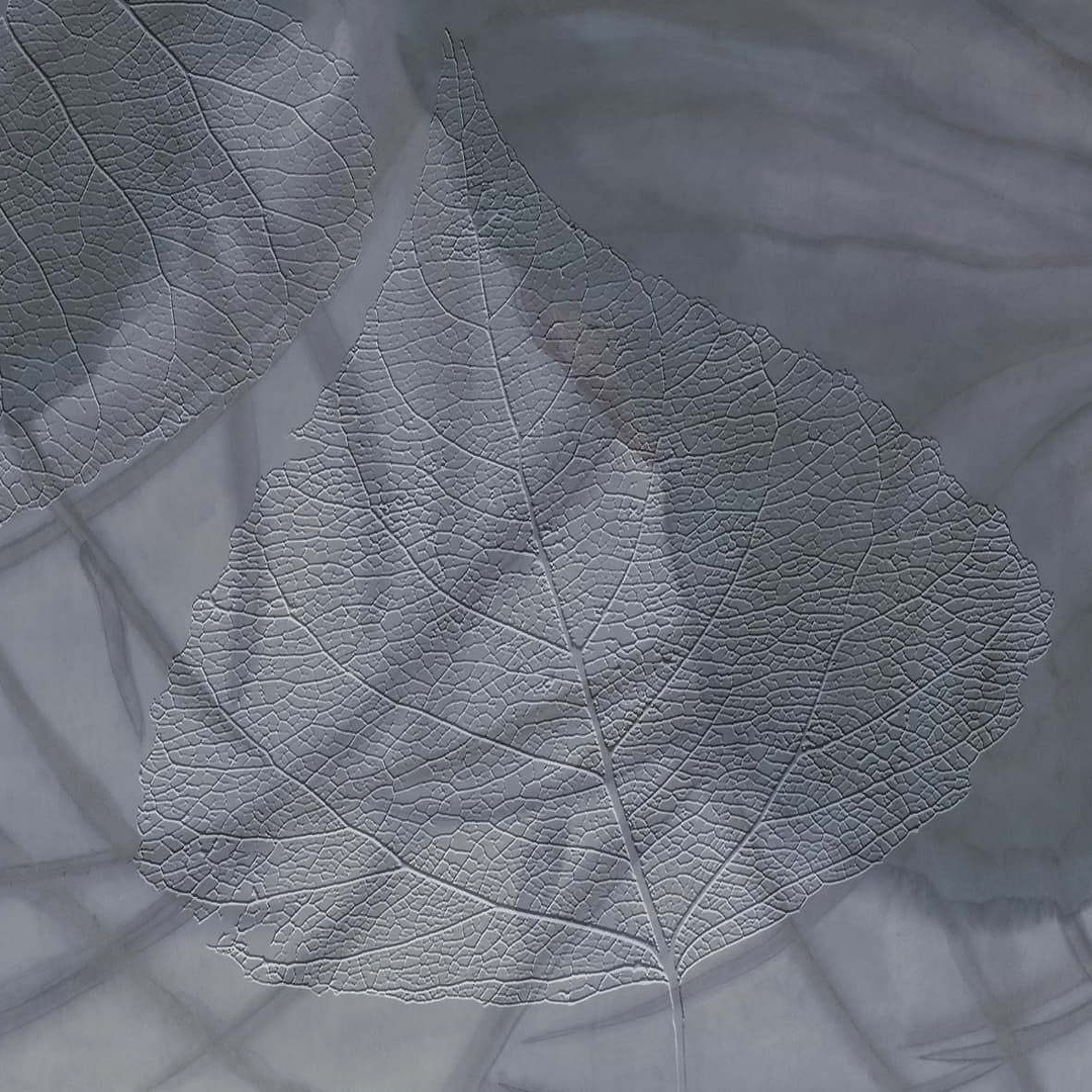Gaia-Behang-Tapete-Glamora-2B-GlamDecor-GLXII272B-Selected Wallpapers