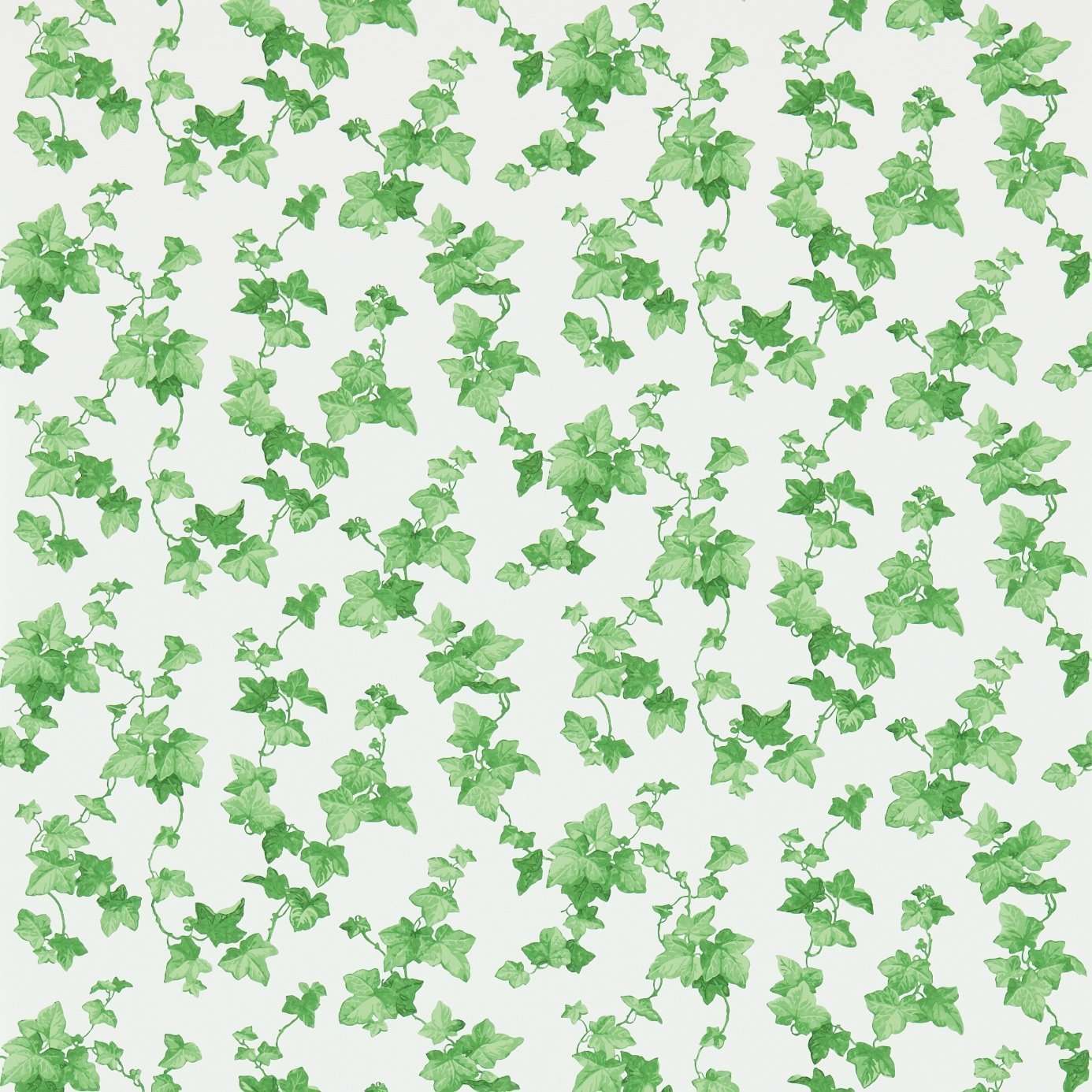 Hedera-behang-Tapete-Sanderson-Selected Wallpapers