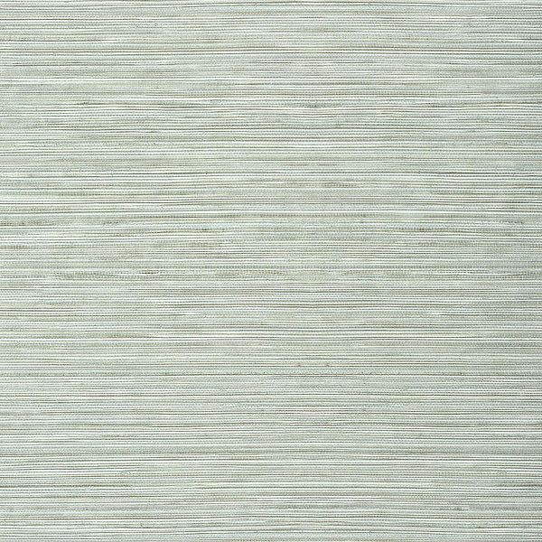 Kendari Grass-Behang-Tapete-Thibaut-Robin's Egg-Rol-T303-Selected Wallpapers