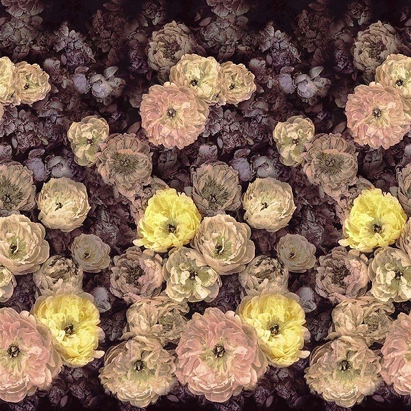 Le Poeme De Fleurs-behang-Tapete-Designers Guild-Rosewood-Set-PDG1107/01-Selected Wallpapers