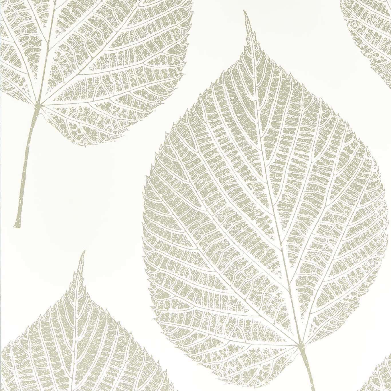 Leaf-behang-Tapete-Harlequin-Chalk/Silver-Rol-112609-Selected Wallpapers