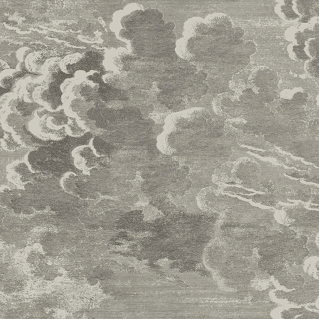 Nuvolette-behang-Tapete-Cole & Son-Metallic Gilver & Charcoal-Set-14/2004-Selected Wallpapers