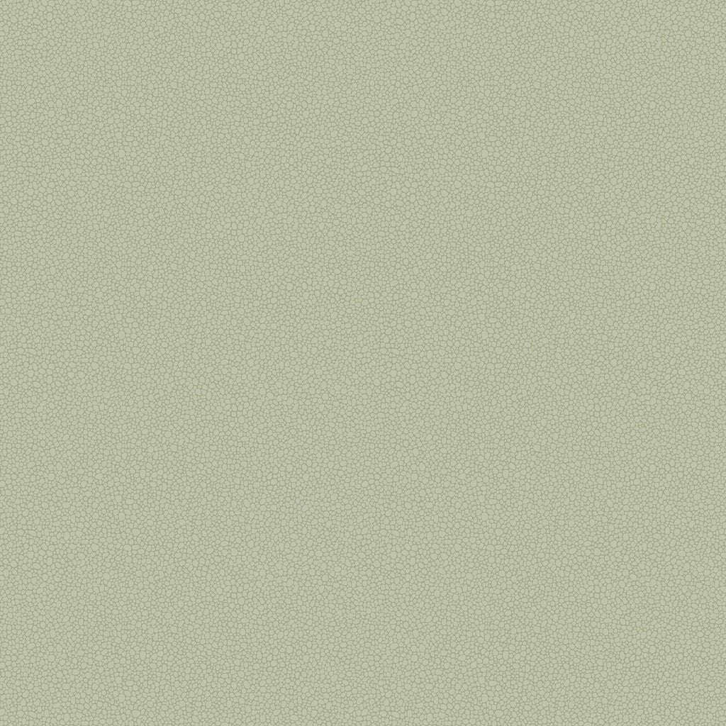 Pebble-Behang-Tapete-Cole & Son-Soft Olive-Rol-106/2027-Selected Wallpapers