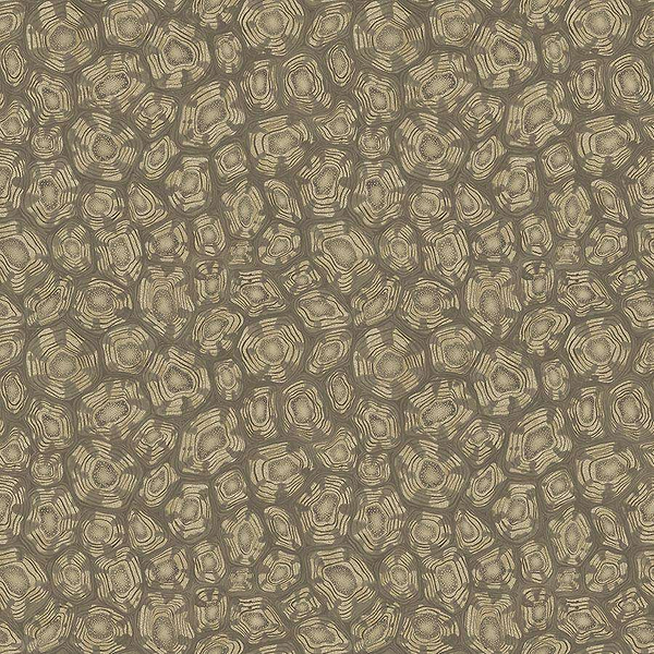 Savanna Shell-Behang-Tapete-Cole & Son-Cedar-Rol-119/4020-Selected Wallpapers