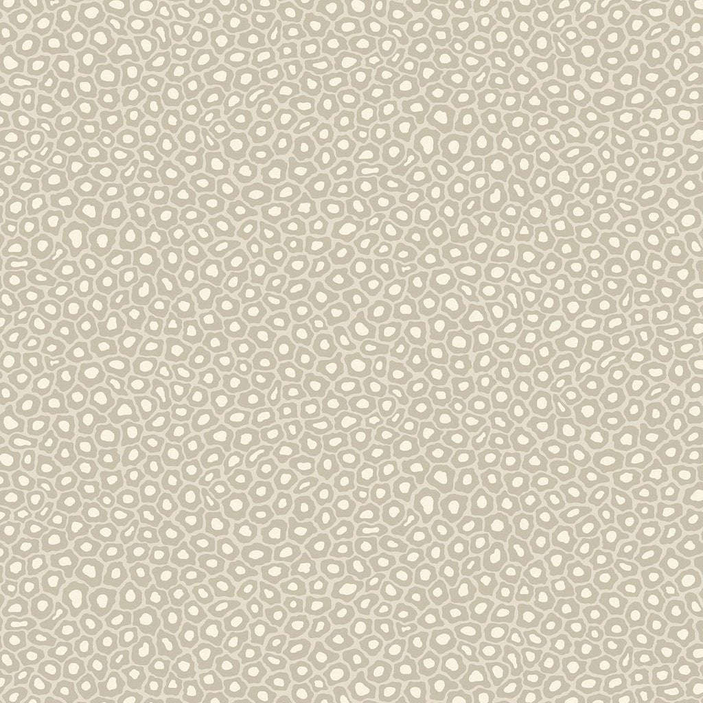 Senzo Spot-Behang-Tapete-Cole & Son-Stone & Chalk-Rol-109/6030-Selected Wallpapers
