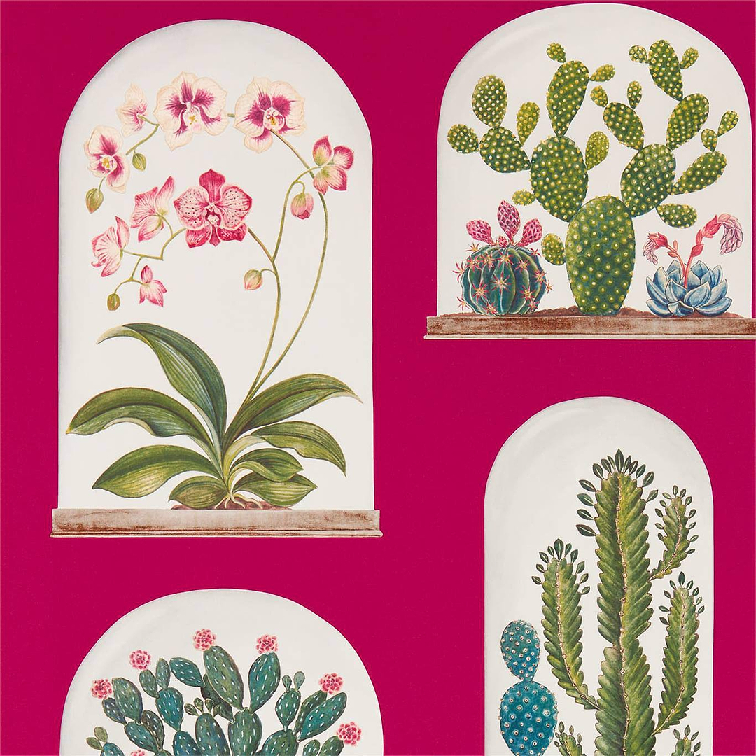 Terrariums-behang-Tapete-Sanderson-Rhodera/Multi-Rol-216657-Selected Wallpapers