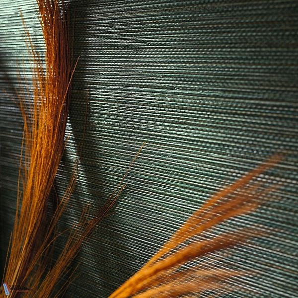 Zostera-Behang-Tapete-Casamance-Selected Wallpapers