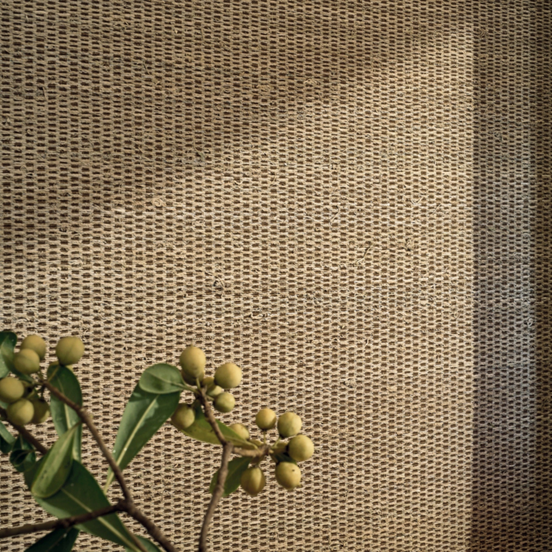Natural Essence Wallcovering 2 wallpaper collection CMO Paris