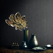 Element behangcollectie Texam