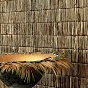 Natural Essence Wallcovering behangcollectie CMO Paris