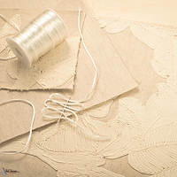 Asvata behang-Elitis-Selected Wallpapers-Interiors