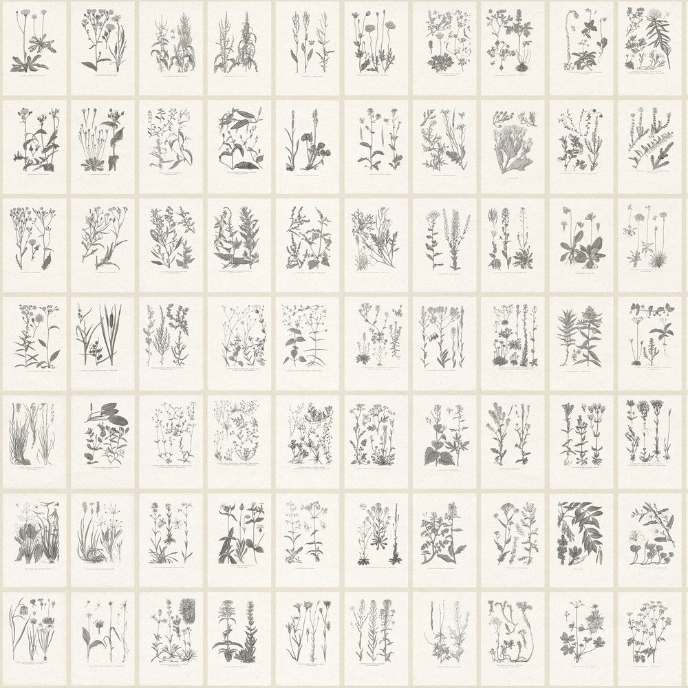 Botanica behang-Sandberg-Graphite-Mattic-M2-Selected Wallpapers-Interiors