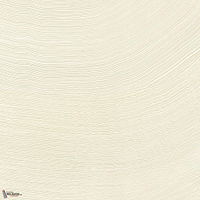 Calero behang-Elitis-02-Rol-Selected Wallpapers-Interiors