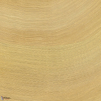 Calero behang-Elitis-22-Rol-Selected Wallpapers-Interiors