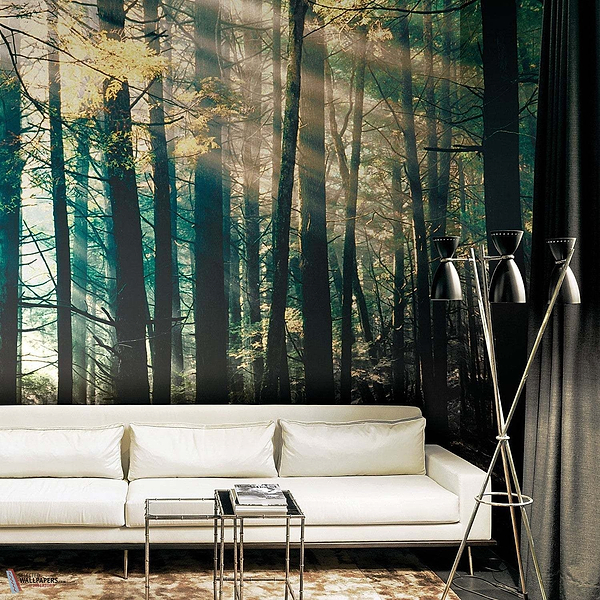 Canadian Forest behang-LondonArt-wallpaper-tapete-Selected-Wallpapers-Interiors