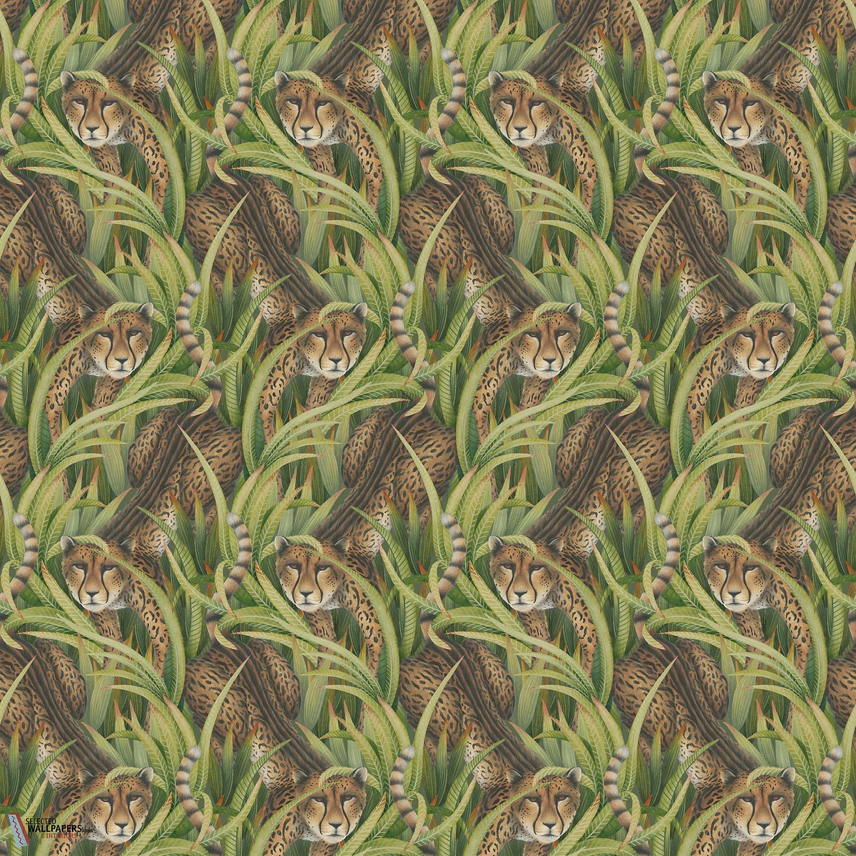 Cheetah Prowl behang-Cole & Son-Grass-Rol-Selected Wallpapers-Interiors