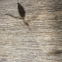 Crin de Soie Mural behang-CMO Paris-Selected Wallpapers-Interiors