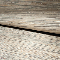 Filigrane behang-Elitis-Selected Wallpapers-Interiors