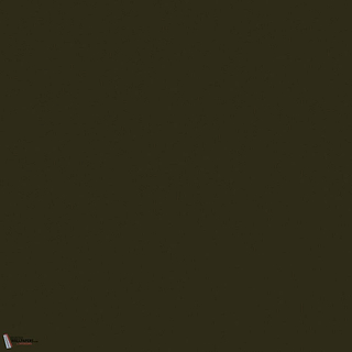 Little Greene Invisible Green 56 Farbe
