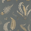 Ferns wallpaper - BW45044.6