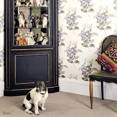 Madras Violet behang van Cole & Son