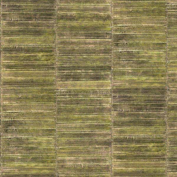 Anguille-behang-Tapete-Elitis-21-Rol-VP 424 21-Selected Wallpapers