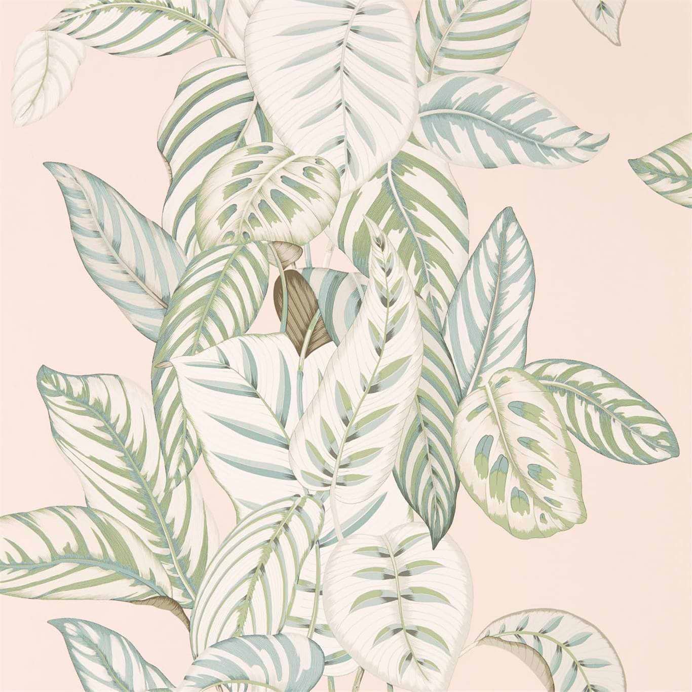 Calathea-behang-Tapete-Sanderson-Orchid-Rol-216632-Selected Wallpapers