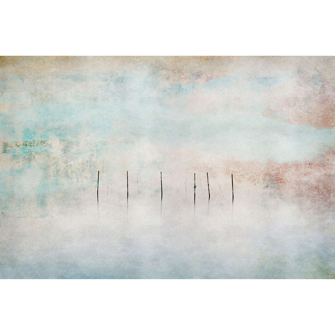 Caligo-Behang-Tapete-INSTABILELAB-Selected Wallpapers