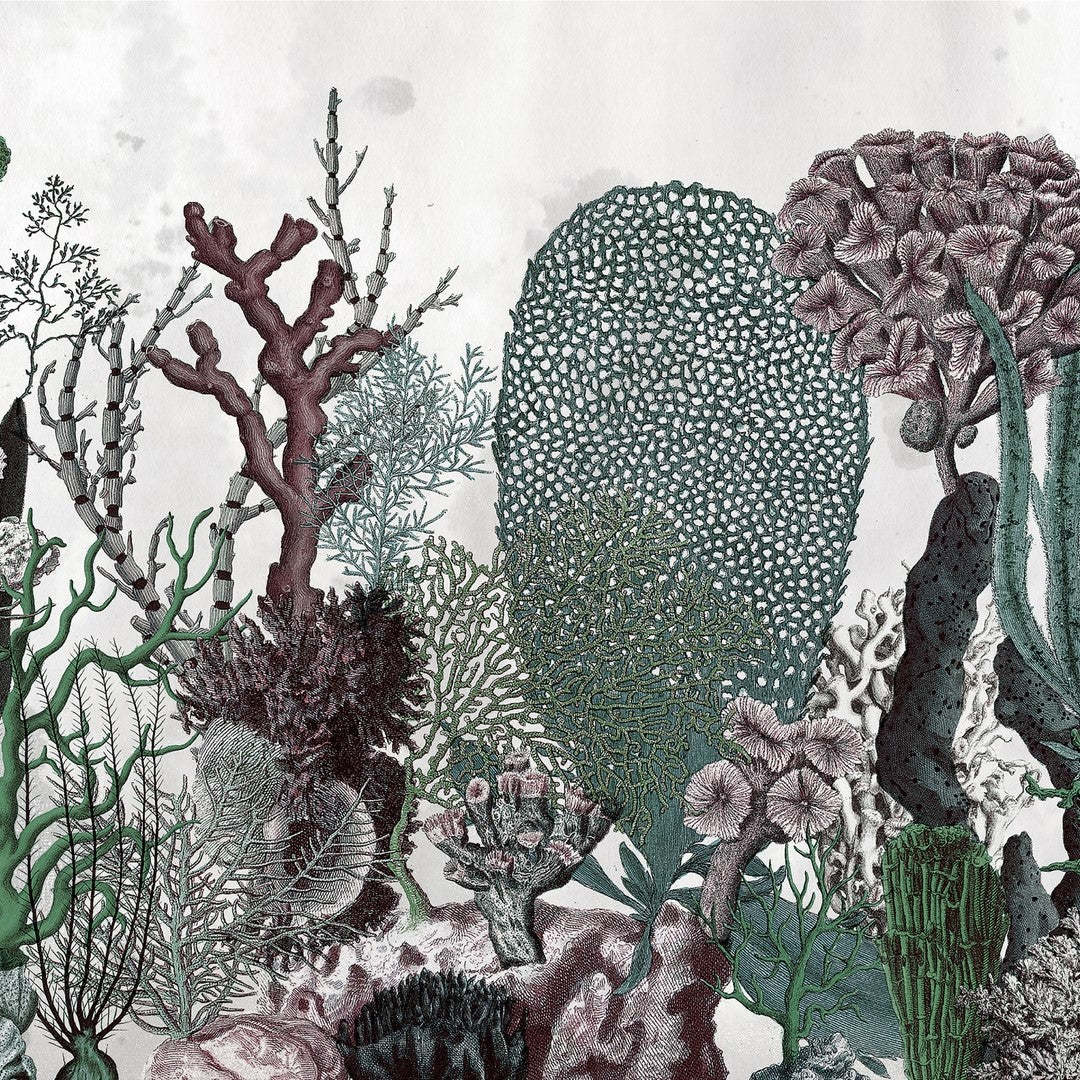 Coralfull Tapete